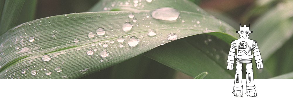 Dưỡng tóc & Trị liệu