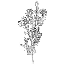 //vn.davines.com/cdn/shop/t/11/assets/davines-line-finest-pigment-deco-4.jpg?v=26652696539408005481613059606