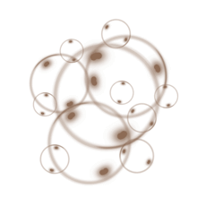 //vn.davines.com/cdn/shop/t/11/assets/davines-line-liquid-spell-deco-3.png?v=46280387748838644991613059608