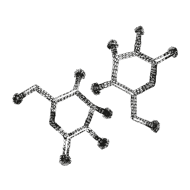 //vn.davines.com/cdn/shop/t/11/assets/davines-line-naturaltech-deco-3.png?v=48525519344944069281613059612