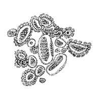 //vn.davines.com/cdn/shop/t/11/assets/davines-line-naturaltech-deco-4.png?v=171189248533084119171613059613