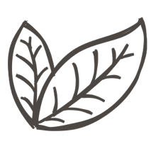 //vn.davines.com/cdn/shop/t/11/assets/davines-line-single-shampoo-deco-1.png?v=183516140813493506251613059614