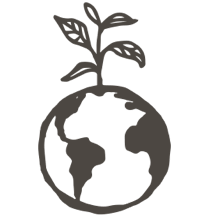 //vn.davines.com/cdn/shop/t/11/assets/davines-line-single-shampoo-deco-2.png?v=137127386204860403571613059614