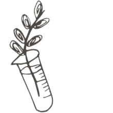 //vn.davines.com/cdn/shop/t/11/assets/davines-line-single-shampoo-deco-3.png?v=134859518317833459071613059614