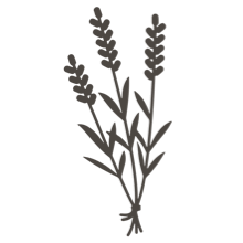 //vn.davines.com/cdn/shop/t/11/assets/davines-line-single-shampoo-deco-4.png?v=10996012474181549121613059615