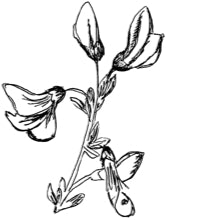 //vn.davines.com/cdn/shop/t/11/assets/davines-line-finest-pigment-deco-1.jpg?v=31471944834081645081613059605