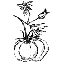 //vn.davines.com/cdn/shop/t/11/assets/davines-line-finest-pigment-deco-2.jpg?v=79889010406983862501613059606