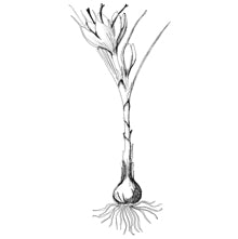 //vn.davines.com/cdn/shop/t/11/assets/davines-line-finest-pigment-deco-3.jpg?v=146126695551628076941613059606